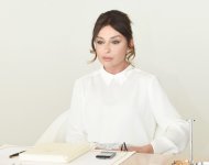 Mehriban Əliyeva: "Mövqeyimiz bəllidir: bizim digər ölkənin torpaqlarına iddiamız yoxdur"