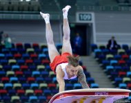 Bakıda idman gimnastikası üzrə Dünya Kuboku yarışlarının ikinci günü keçirilir  (Fotoreportaj)