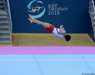 Bakıda idman gimnastikası üzrə Dünya Kuboku fotolarda