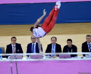 Bakıda idman gimnastikası üzrə Dünya Kuboku fotolarda