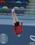 Bakıda batut gimnastikası üzrə Dünya Kubokunda iştirak edəcək idmançıların podium məşqləri (FOTO)