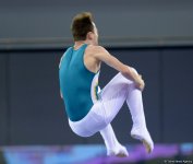 Bakıda batut gimnastikası üzrə FIG Dünya Kubokunun ilk yarış günü start götürüb (FOTO)