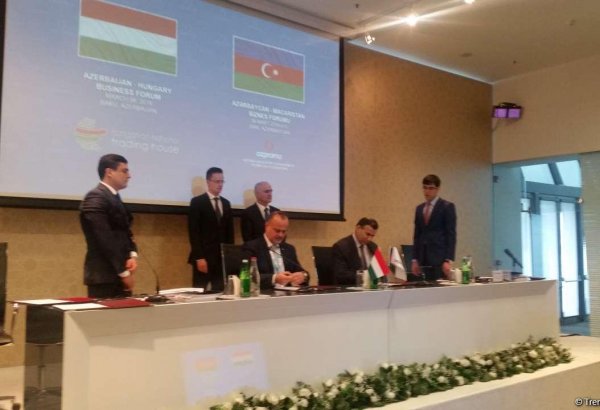 Azərbaycan və Macarıstan dörd sənəd imzaladı (FOTO)