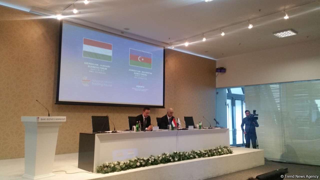 Azərbaycan ilə Macarıstan İranda birgə işləyə bilərlər - nazir