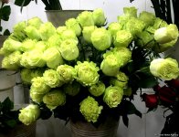 Azərbaycanda 8 Mart - Beynəlxalq Qadınlar Günü qeyd olunur (FOTO)