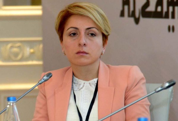 Azərbaycan kimi tərəfdaşımız olmasaydı, qaz təchizatı bizim üçün çətin olardı - Gürcüstan təmsilçisi