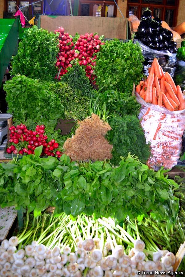 Qədim Tehran bazarından yeni fotosessiya (FOTO)