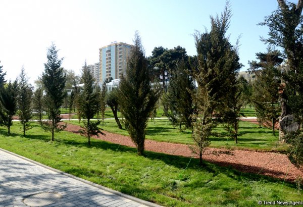 Azərbaycanda 100 min hektarlıq yeni milli park yaradılacaq