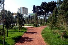 Bakının yeni istirahət məkanı (FOTO)