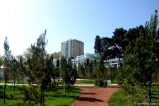 Bakının yeni istirahət məkanı (FOTO)