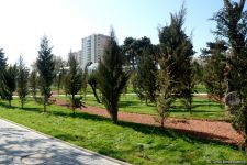 Bakının yeni istirahət məkanı (FOTO)