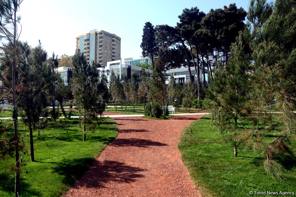 Bakının yeni istirahət məkanı (FOTO)
