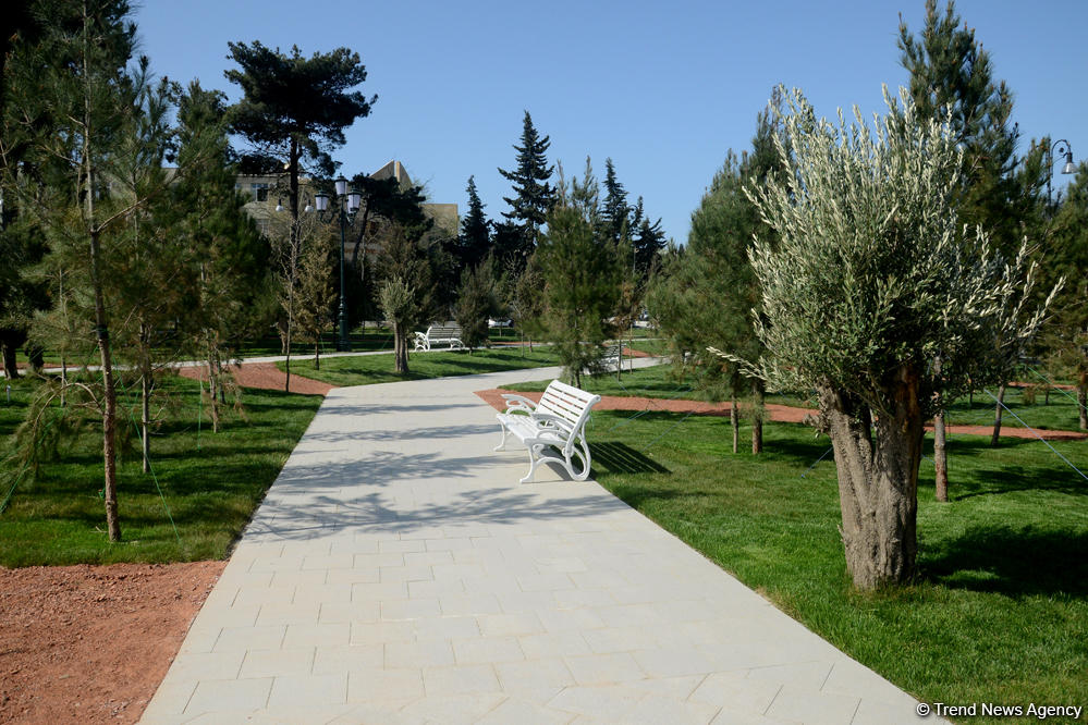 Bakının yeni istirahət məkanı (FOTO)