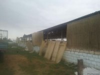 Ermənilər Ağdamın Evoğlu kəndinə də ciddi ziyan vurub (FOTO)