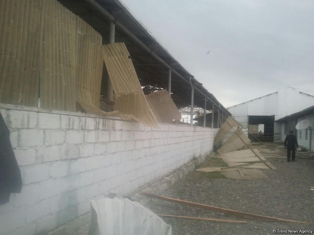 Ermənilər Ağdamın Evoğlu kəndinə də ciddi ziyan vurub (FOTO)