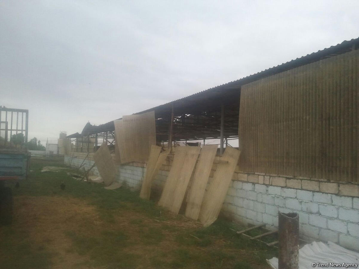 Ermənilər Ağdamın Evoğlu kəndinə də ciddi ziyan vurub (FOTO)