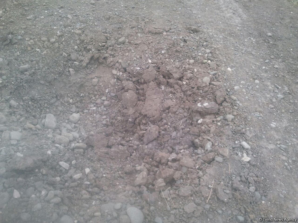 Ermənilər Ağdamın Evoğlu kəndinə də ciddi ziyan vurub (FOTO)