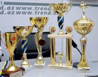 Azərbaycan Komandası dünya çempionatında uğurla iştirak edib (FOTO)