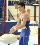 Bakıda idman gimnastikası üzrə Azərbaycan Birinciliyi və Bakı Çempionatı start götürüb (FOTO)