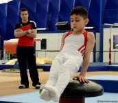 İdman gimnastikası üzrə Azərbaycan Birinciliyi və Bakı Çempionatının ikinci günü start götürüb (FOTO)