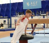 İdman gimnastikası üzrə Azərbaycan Birinciliyi və Bakı Çempionatının ikinci günü start götürüb (FOTO)