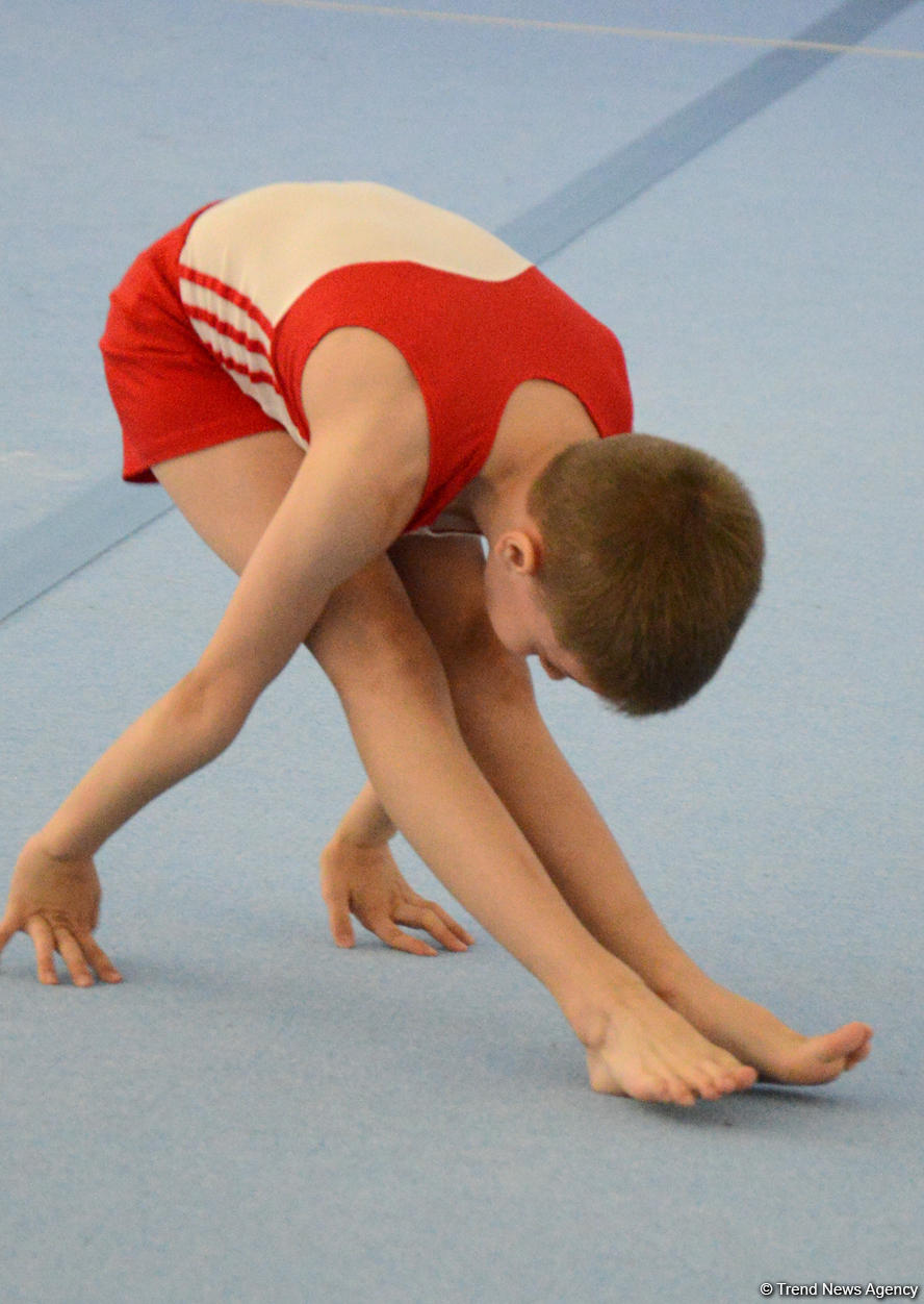 İdman gimnastikası üzrə Azərbaycan Birinciliyi və Bakı Çempionatının ikinci günü start götürüb (FOTO)