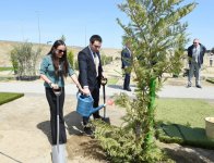 İlham Əliyev və xanımı Ulu öndər Heydər Əliyevin doğum gününə həsr olunmuş ağacəkmə kampaniyasında iştirak ediblər (FOTO)