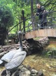 Roza Zərgərlidən “Can Azərbaycan” fotolayihəsi (FOTO)