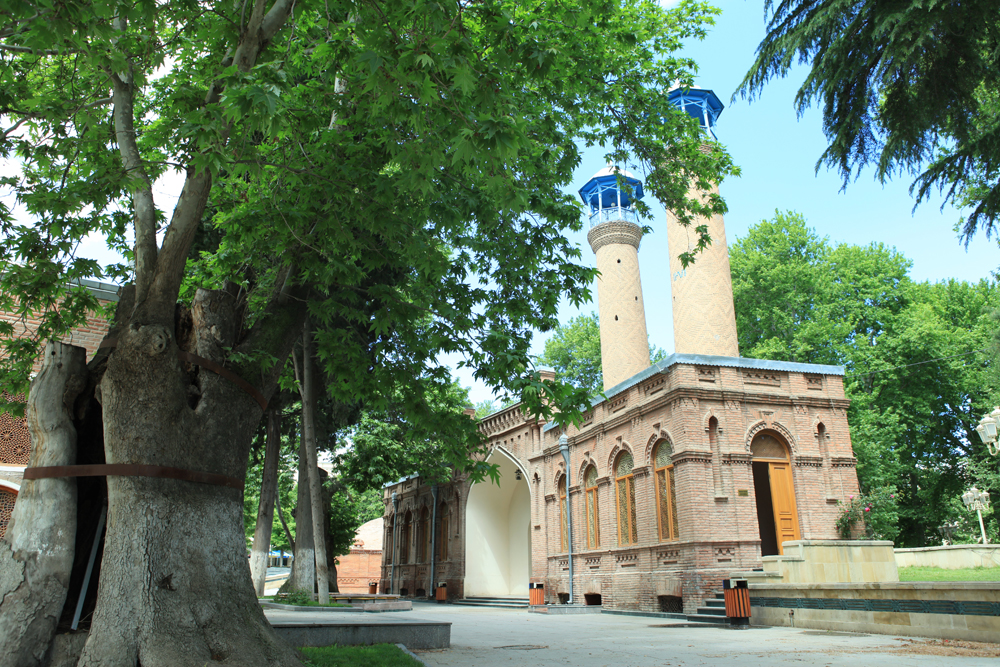 Roza Zərgərlidən “Can Azərbaycan” fotolayihəsi (FOTO)