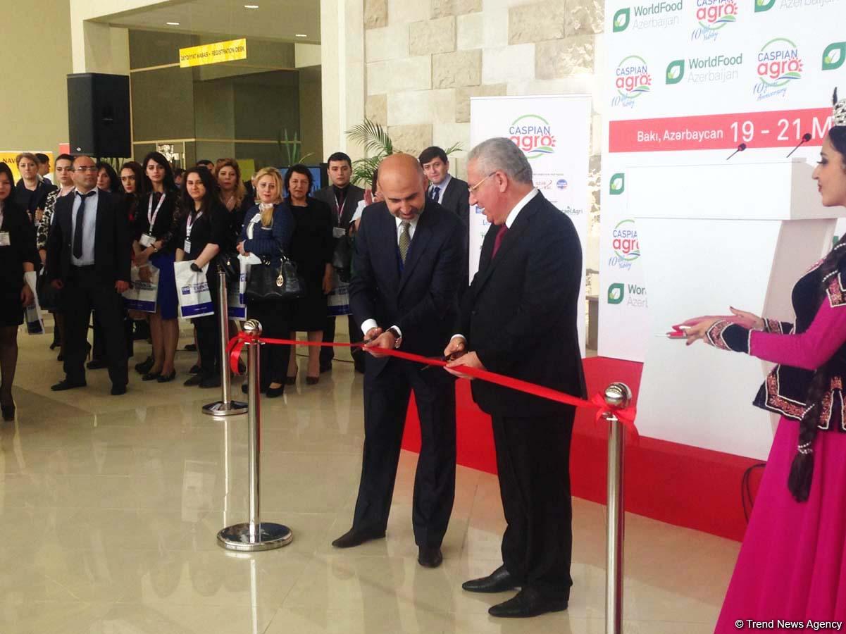 Nazir: Azərbaycanda səyyar kənd təsərrüfatı sərgiləri təşkil ediləcək (FOTO)  (ƏLAVƏ OLUNUB)