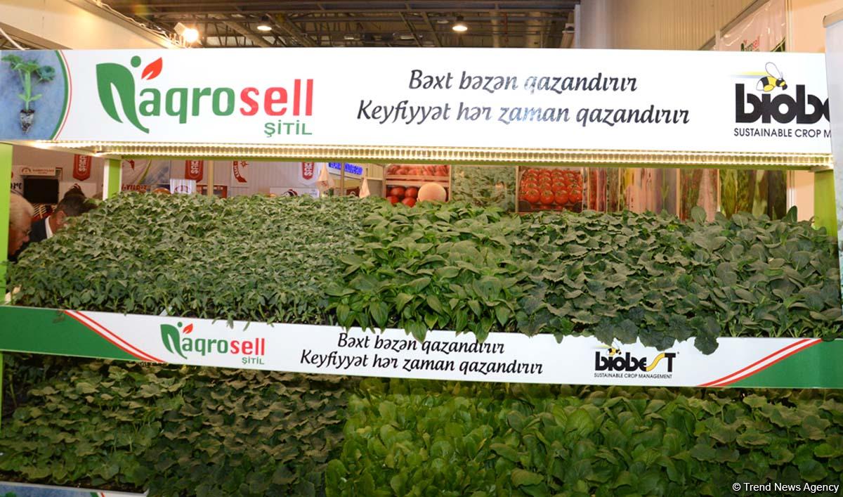 Nazir: Azərbaycanda səyyar kənd təsərrüfatı sərgiləri təşkil ediləcək (FOTO)  (ƏLAVƏ OLUNUB)
