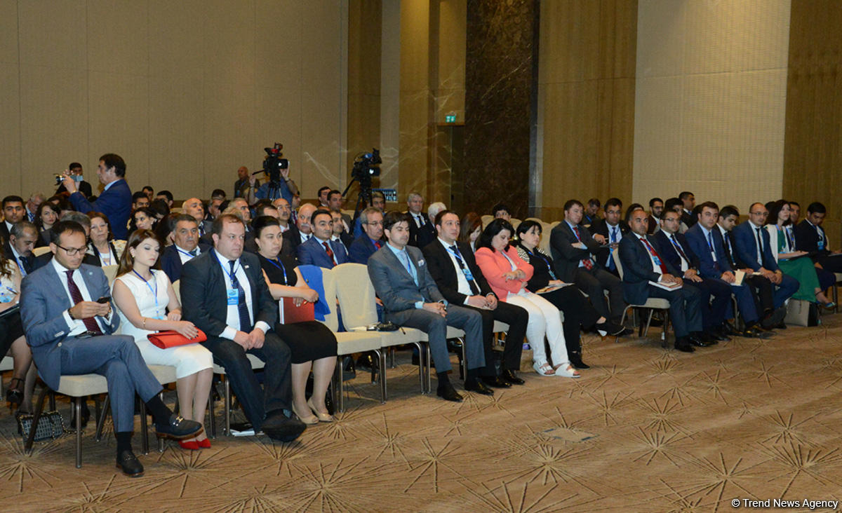 Diaspor rəhbəri: Azərbaycan lobbisi artıq formalaşmağa başlayıb (FOTO)