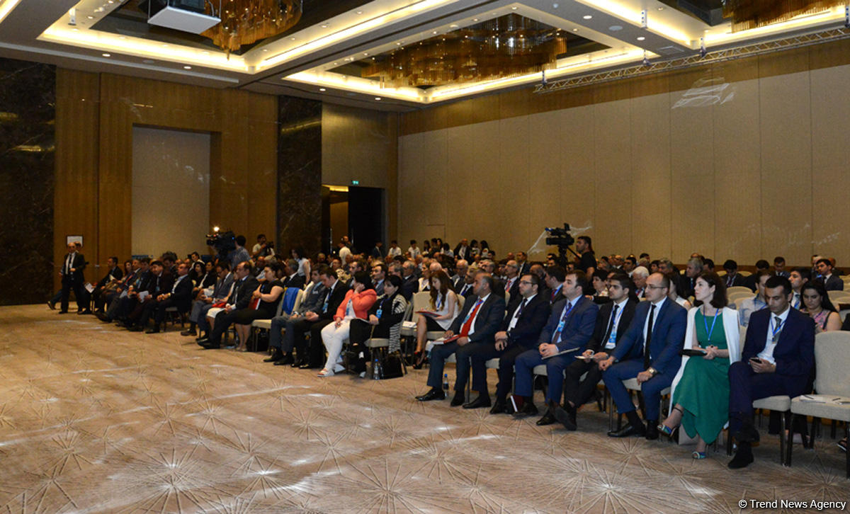 Diaspor rəhbəri: Azərbaycan lobbisi artıq formalaşmağa başlayıb (FOTO)