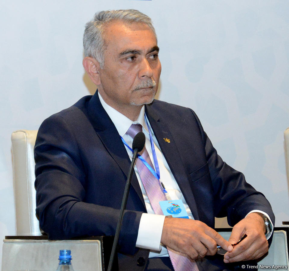 Diaspor rəhbəri: Azərbaycan lobbisi artıq formalaşmağa başlayıb (FOTO)