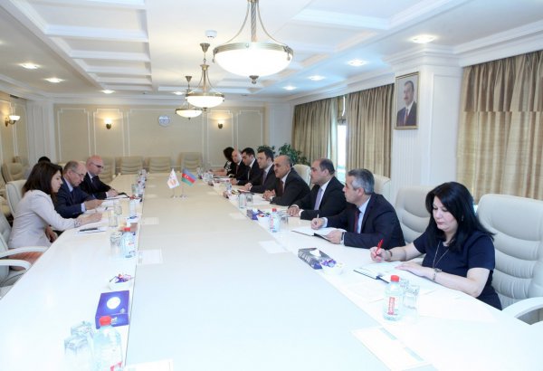 BMT yeni Məşğulluq Konsepsiyasının hazırlanmasında Azərbaycanla əməkdaşlığı genişləndirmək niyyətindədir (FOTO)