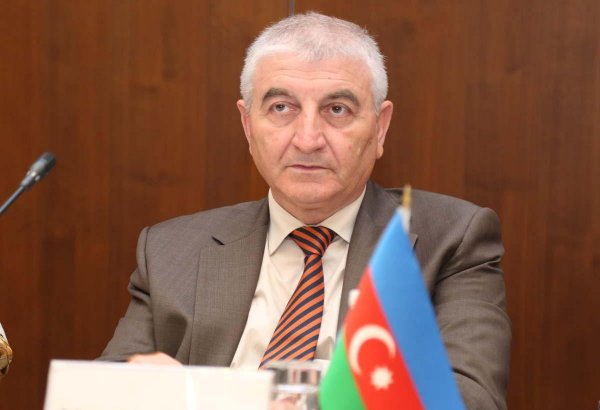 Məzahir Pənahov: Referendumu izləmək üçün 117 beynəlxalq müşahidəçi akkreditasiyadan keçib