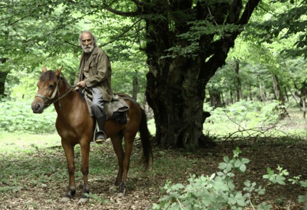"Üç gün və bir ömür" yekunlaşdı (FOTO)