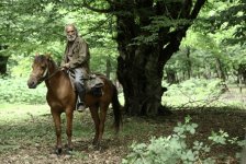 "Üç gün və bir ömür" yekunlaşdı (FOTO)