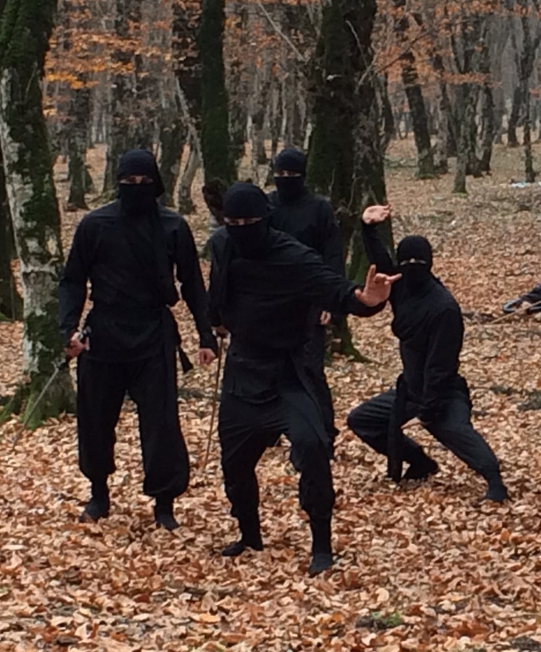 Azərbaycanda “Brat Li”ni görəcəyik (FOTO/VIDEO)