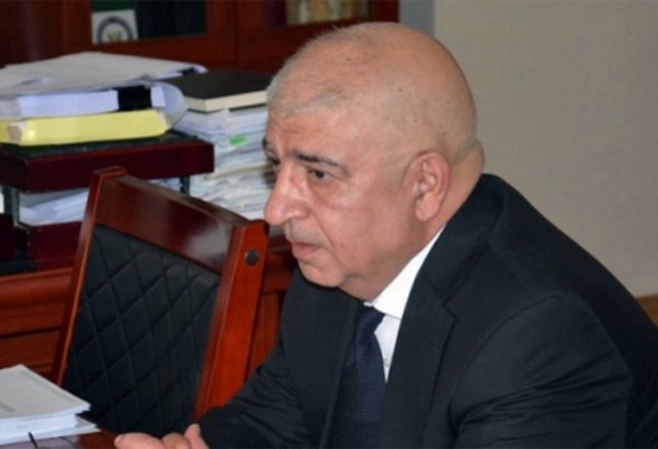 PA-nın şöbə müdiri: Venesiya Komissiyasının rəyində kobud səhvlərə rast gəlinir (YENİLƏNİB)