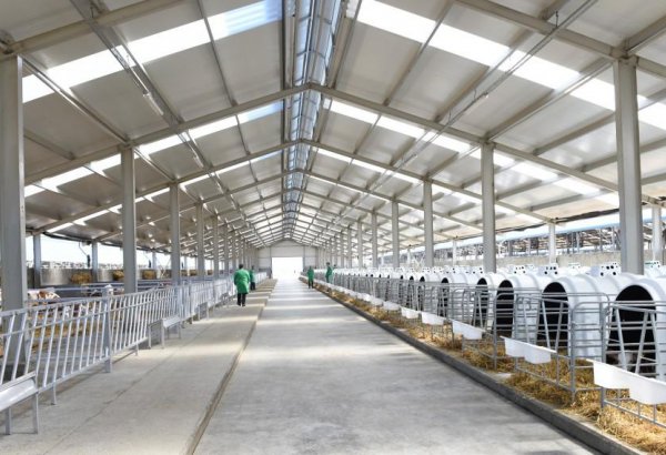 Xaçmazdakı Yalama aqroparkında tikinti işlərinin ikinci mərhələsinə start verilib