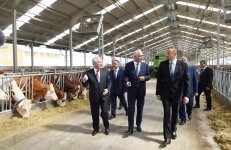 Prezident İlham Əliyev: Bütün bu işləri ona görə edirik ki, ölkəmiz daha da güclənsin, Azərbaycan vətəndaşları daha da yaxşı yaşasınlar