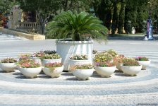 Bakı bulvarının görünməyən həyatı – unikal kadrlar (ÖZƏL) (FOTO)
