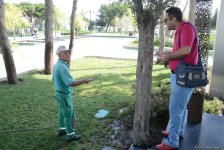 Bakı bulvarının görünməyən həyatı – unikal kadrlar (ÖZƏL) (FOTO)