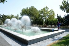 Bakı bulvarının görünməyən həyatı – unikal kadrlar (ÖZƏL) (FOTO)