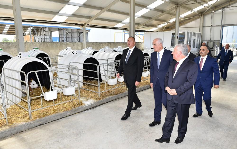 Prezident İlham Əliyev: Bütün bu işləri ona görə edirik ki, ölkəmiz daha da güclənsin, Azərbaycan vətəndaşları daha da yaxşı yaşasınlar