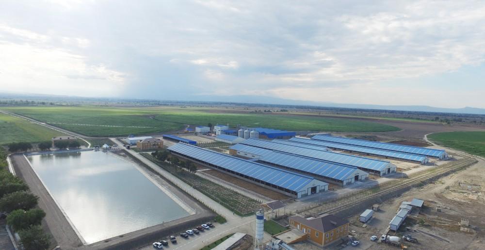 Ağcabədidə aqropark yaradılır