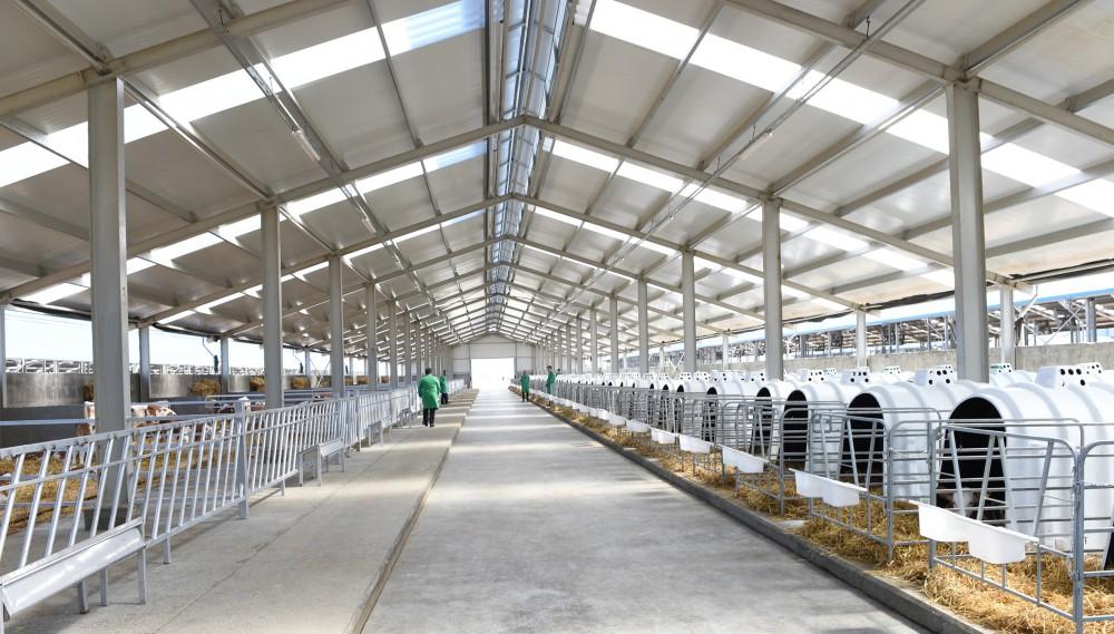 Xaçmazdakı Yalama aqroparkında tikinti işlərinin ikinci mərhələsinə start verilib