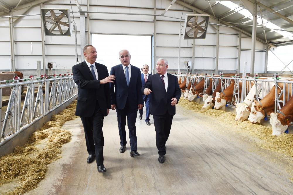 Prezident İlham Əliyev: Bütün bu işləri ona görə edirik ki, ölkəmiz daha da güclənsin, Azərbaycan vətəndaşları daha da yaxşı yaşasınlar
