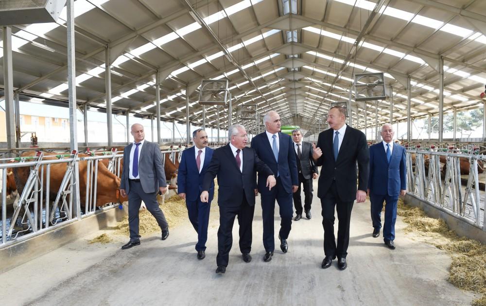 Prezident İlham Əliyev: Bütün bu işləri ona görə edirik ki, ölkəmiz daha da güclənsin, Azərbaycan vətəndaşları daha da yaxşı yaşasınlar
